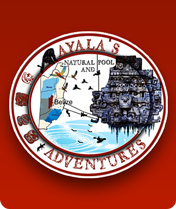 Ayala's Natural Pool & Adventures