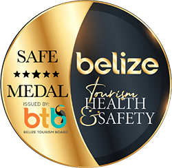 Gold Standard Safe Medal